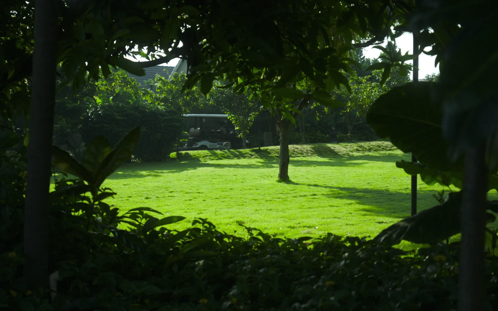 Sunlit ARTH gardens framed by trees and stone architecture