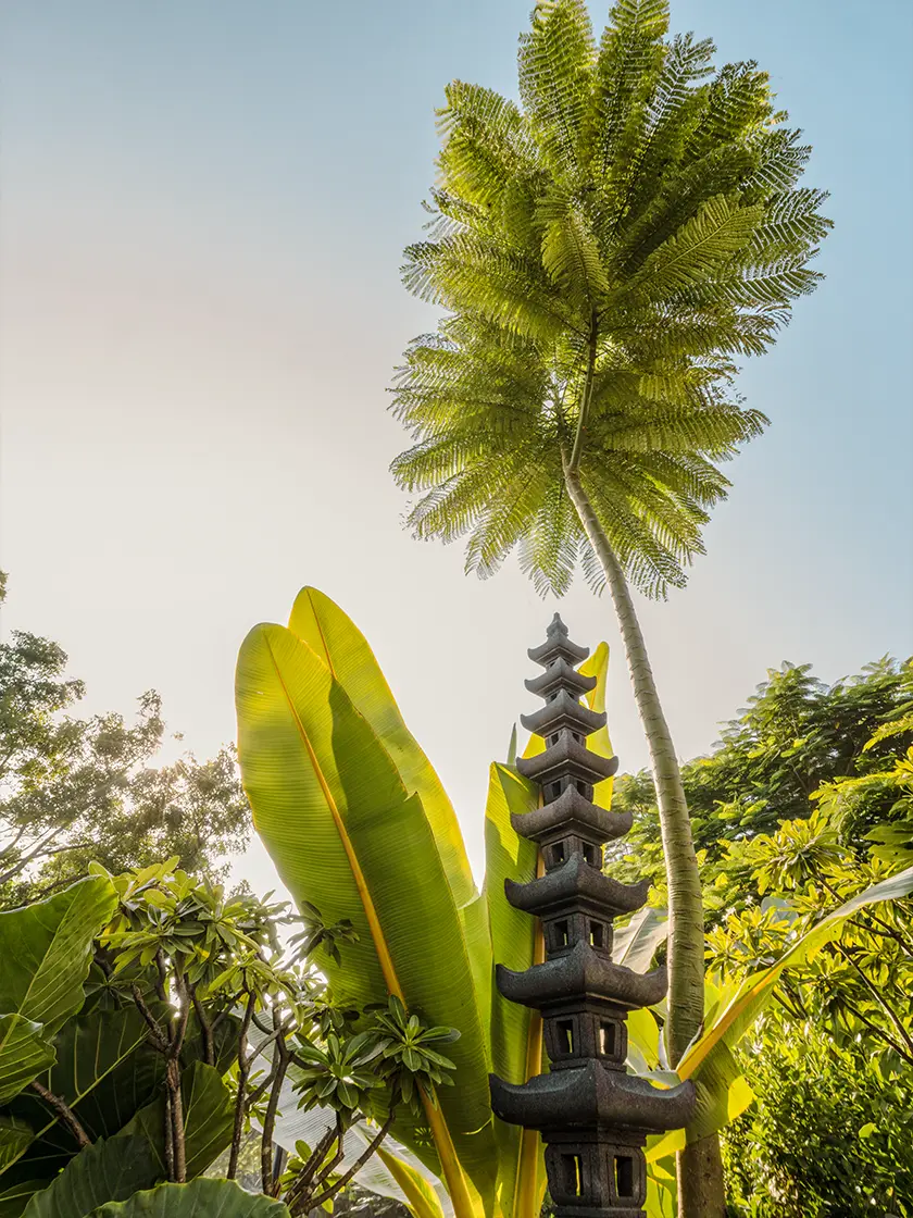 Sunlit palm fronds and tropical foliage framing a stone lantern